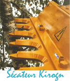 Kirogn
